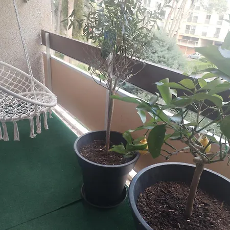 Apartment La Rose Des Sables